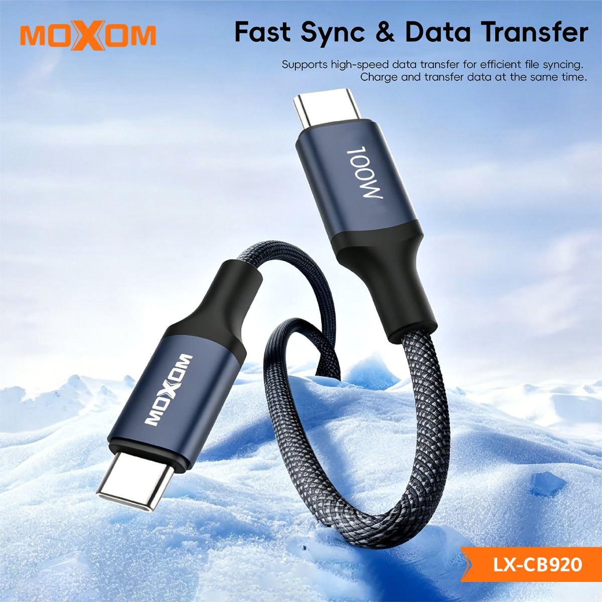 MOXOM LX-CB920 100W PD Type-C Cable