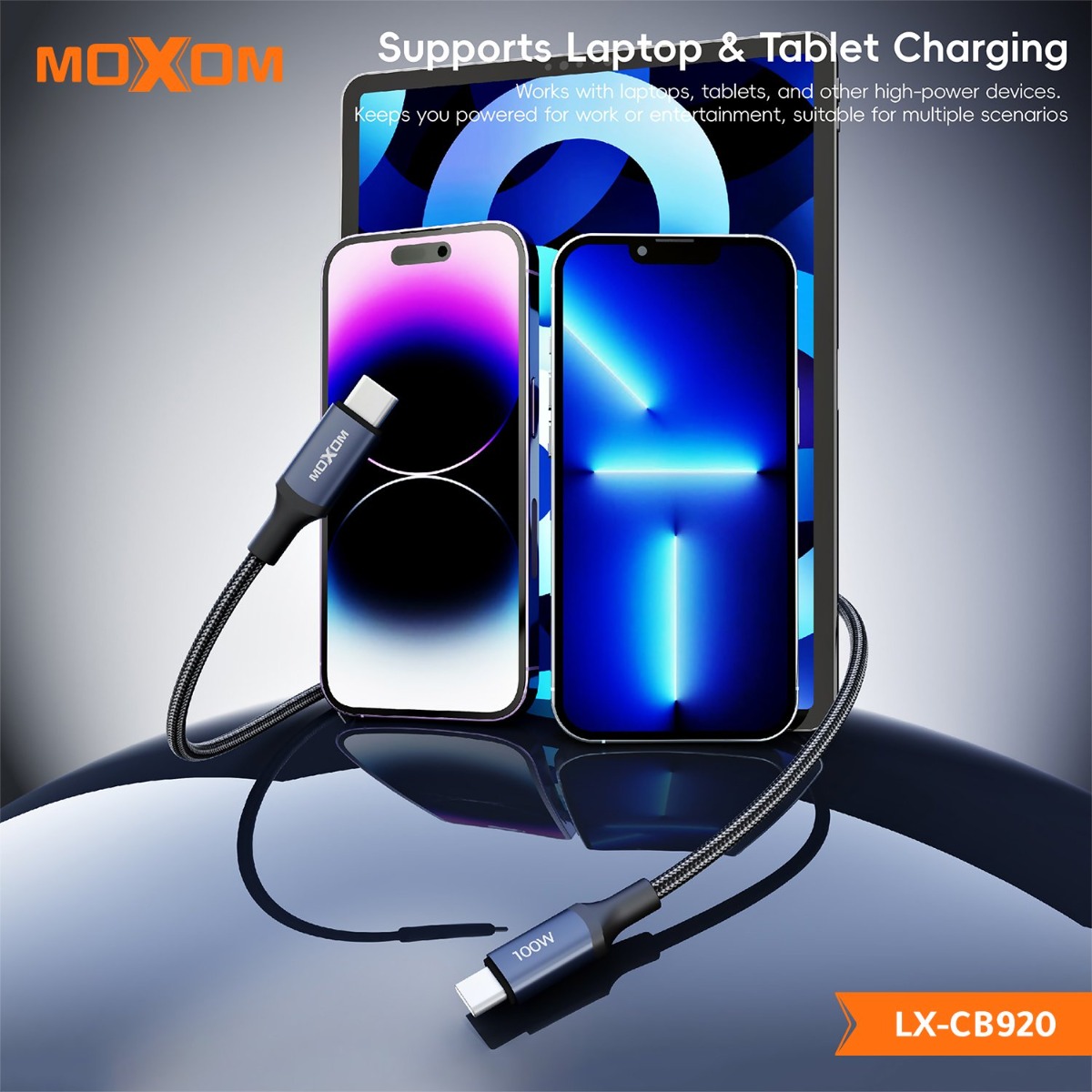 MOXOM LX-CB920 100W PD Type-C Cable