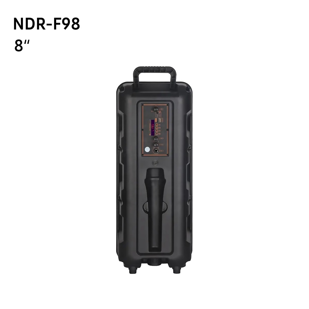 NDR-F98 Bluetooth Speaker